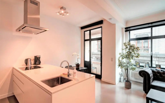 Spacious Apartments in the Heart of Antwerp