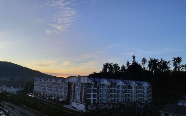 Misty Wonderland Next to Night Market