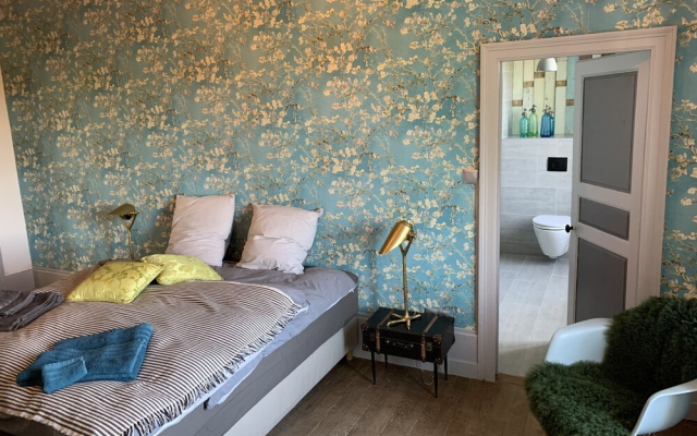 Château de St Alyre