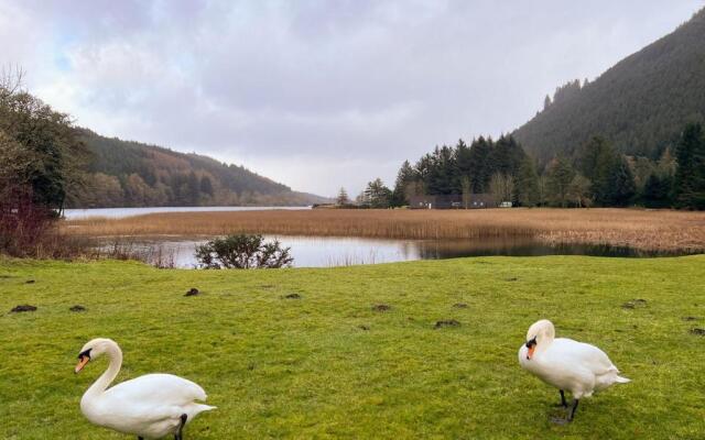 Glen View - UK37557