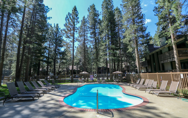 Sunshine Village #158