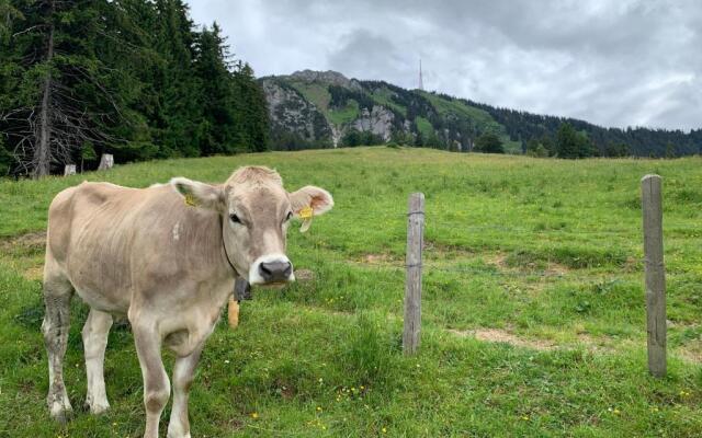 Ferienwohnungen Im Dorfwirt