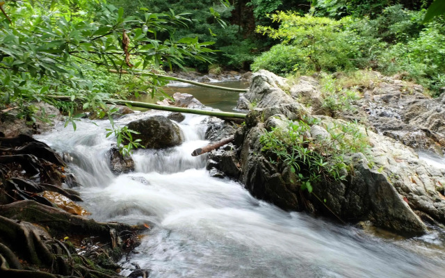 Pi Creek Hideaway Resort