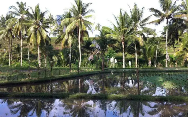 The Djoyo Bed & Breakfast