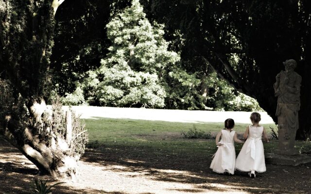 Denham Grove