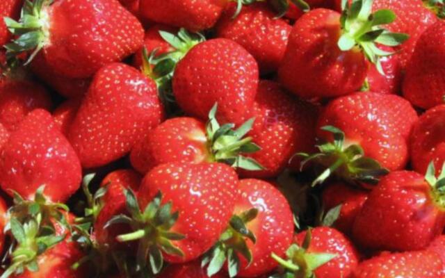 Le Clos des Evigneaux