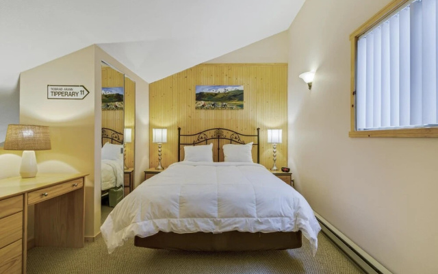 Ski House 234