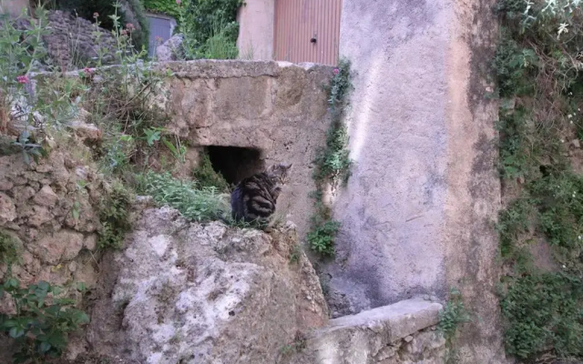Les toits de cocagne Studio in the village center