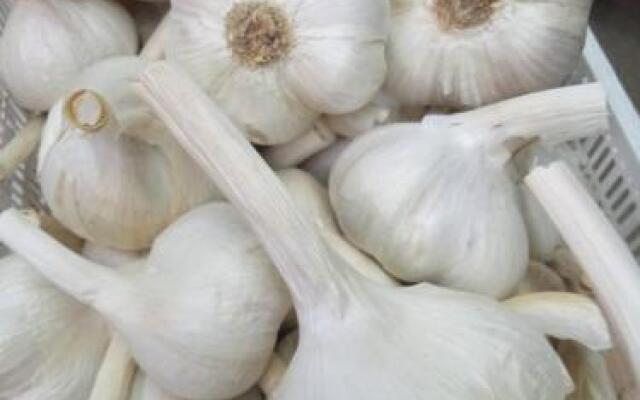 Romitorio di Castiglione del Lago