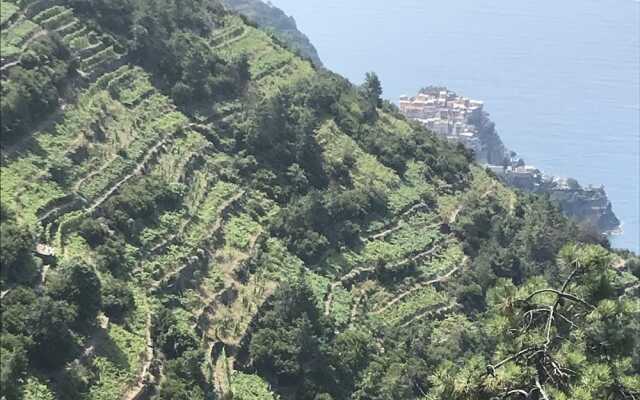 Agriturismo Un Angelo alla mia tavola