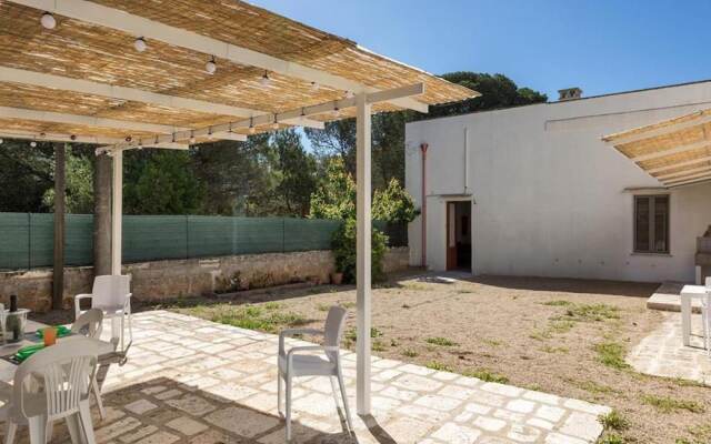 1143 Le Cicale - Violetta