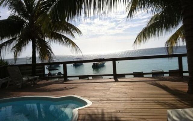 Coconut Tree West Bay