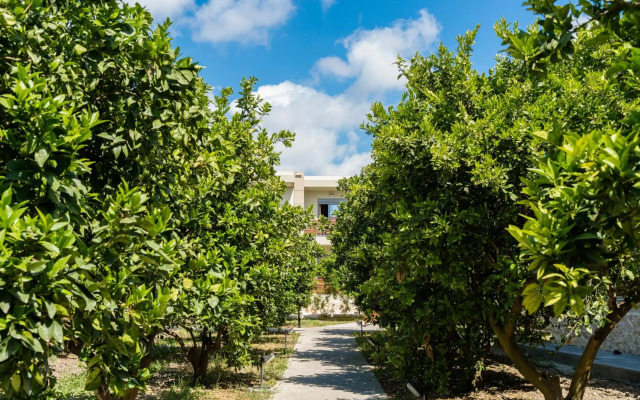 Ilyssion Holidays Hotel