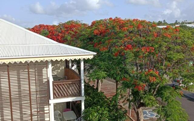 Studio Hibiscus Le Kayela