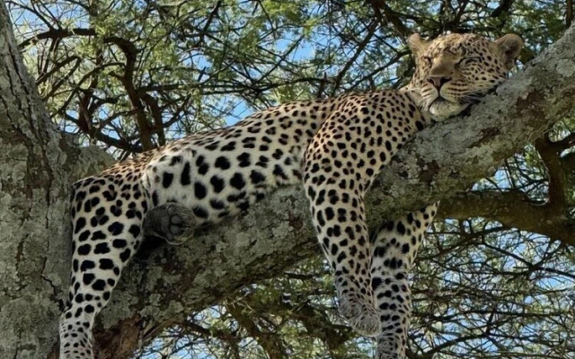 Moyoni Africa Lodge & Tours