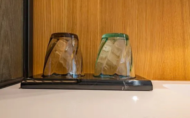 TRUE GO S Hotel (Beijing National Conference Center Bird's Nest)