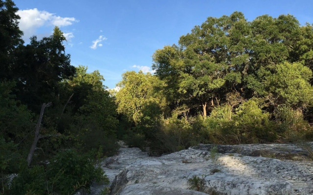 Austin Retreat