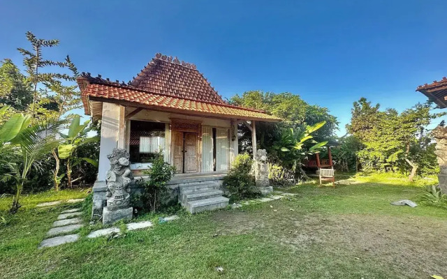 Bali Eco Living Dormitory