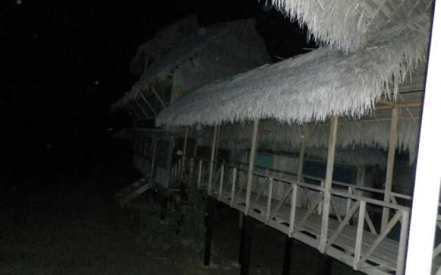 Amazon Eco Tours & Lodge