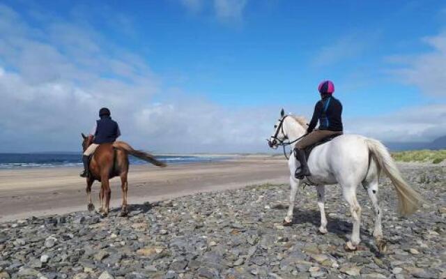 Beezies Self Catering Cottages