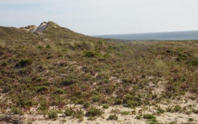 Peniche Blue Wave Home