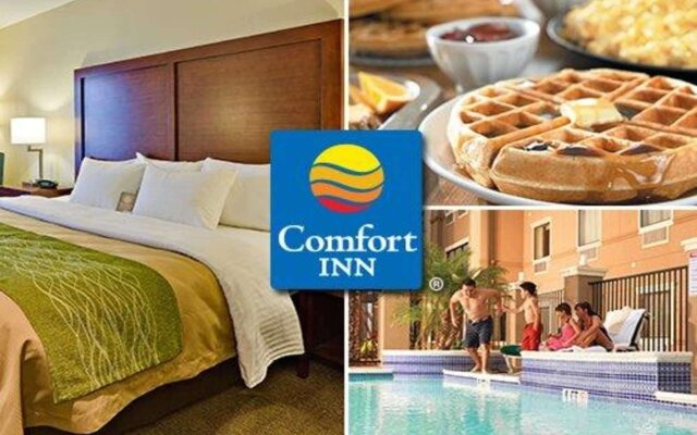 Comfort Inn Alstonia