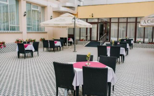 Hotel Cerbul