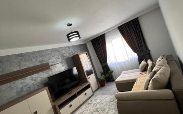Borșa ApartHotel 4