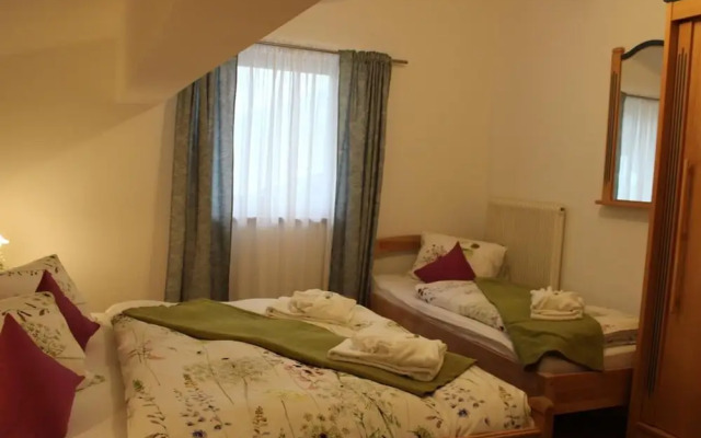 Apartment in Saalfelden Near Ski Slopes