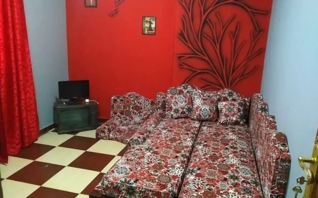 Explore Cairo From A Cozy Designed apt