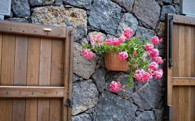 Il Castagno dell'Etna