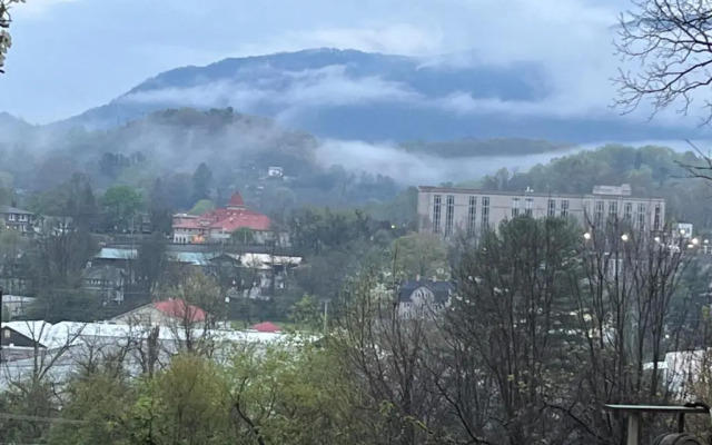 Oak Hill on Love Lane