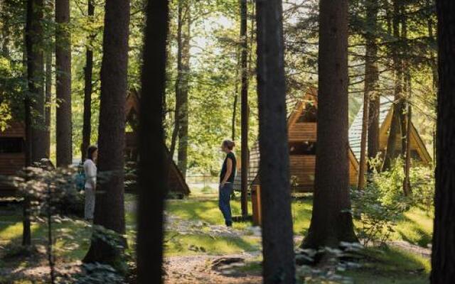 Forest Camping Mozirje
