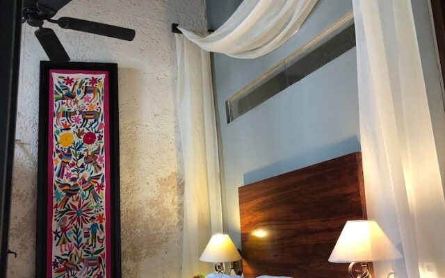 Historical Green House In Campeche