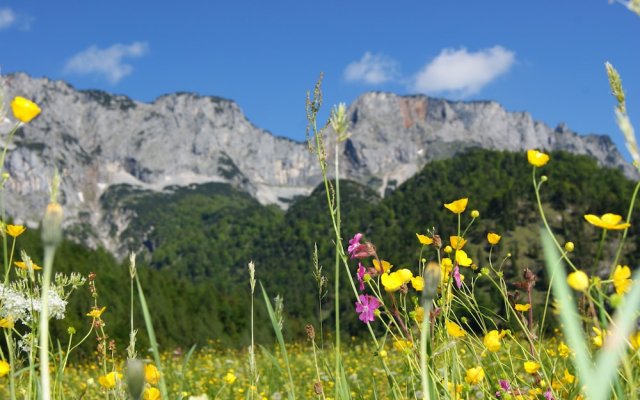 Hotel Untersberg