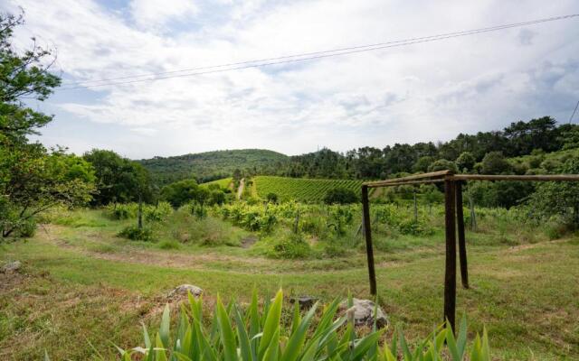 Agriturismo Fattoria Di Gratena