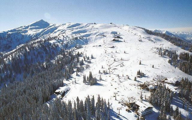 Alpenfex