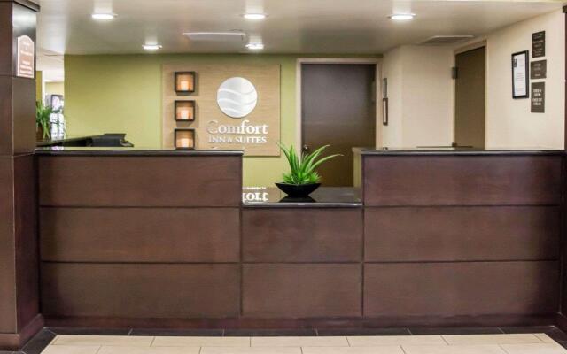 Comfort Inn & Suites St. Pete - Clearwater International Airport