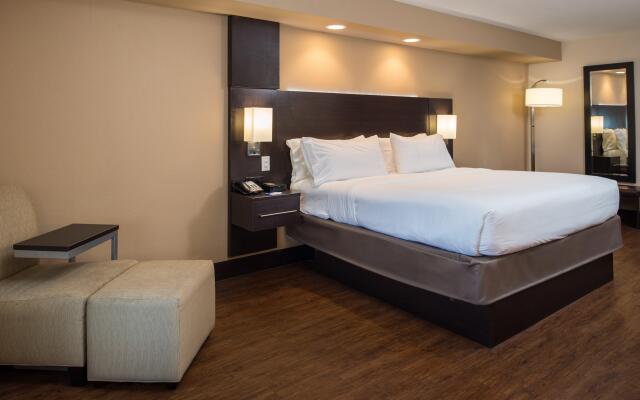 Holiday Inn Express & Suites San Antonio Medical-Six Flags, an IHG Hotel