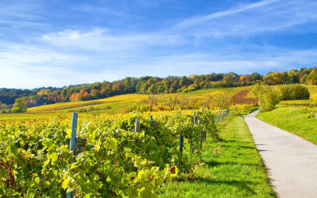 Amelie N°1 Hotel & Appartements