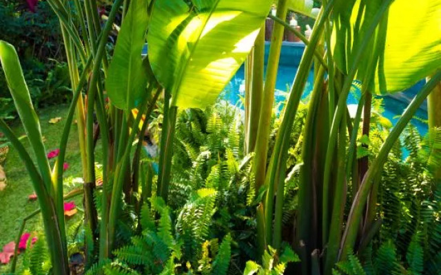 Yangxi Valley Garden Hotel Country Garden Huizhou