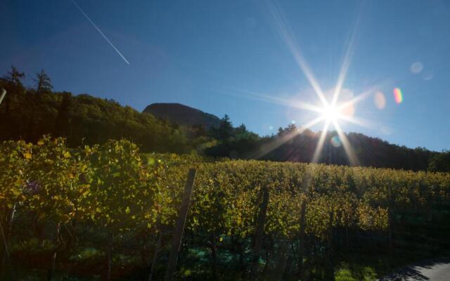 Eichenstein Weingut & Chalet