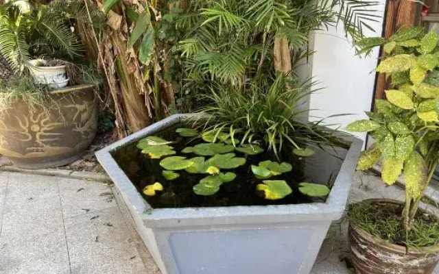 Xiangyunge Hostel