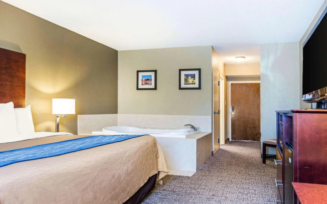 Comfort Inn Atlanta Downtown South