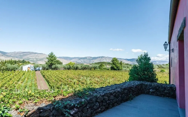 Terrazze dell'Etna - Rooms & Apartments