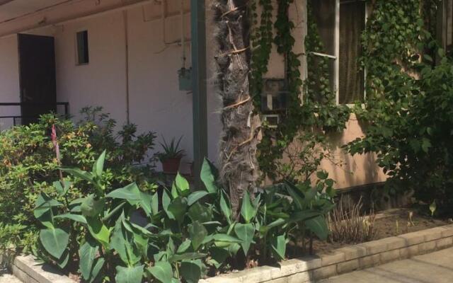 Alexandra Guest house