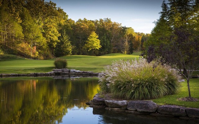 Dragan's Den by RedAwning