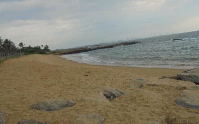 Sandy