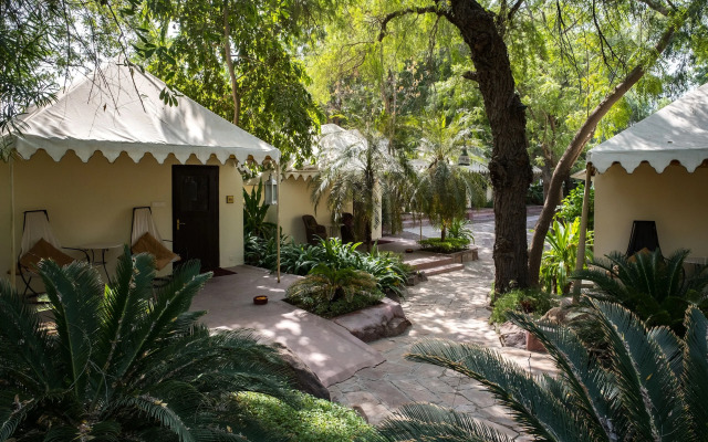 Ajit Bhawan - A Palace Resort