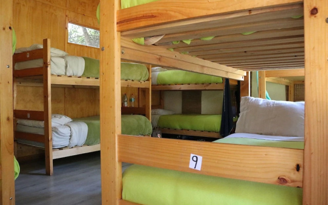 El Arbol Eco-Lodge - Hostel